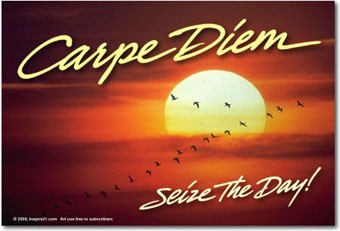seize2.jpg