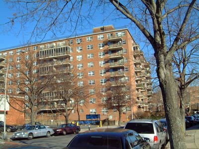 The Slummification of Kissena Boulevard - Citizen of the Month