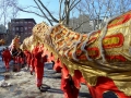 chinese new year parade 7.jpg